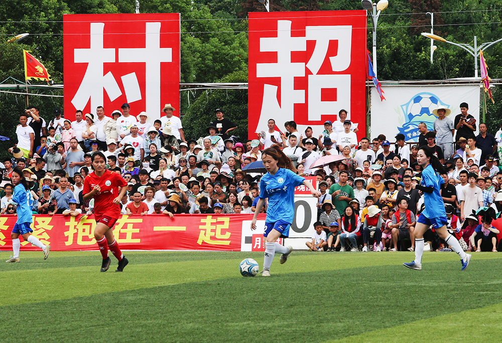 无疑都是篮 无疑都是篮