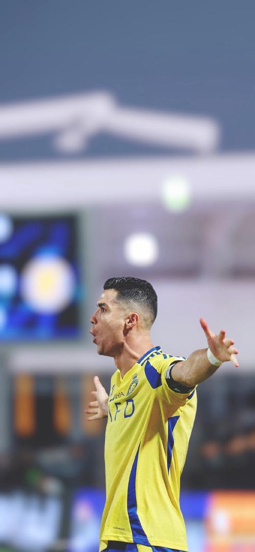 奖励系统 奖励系统